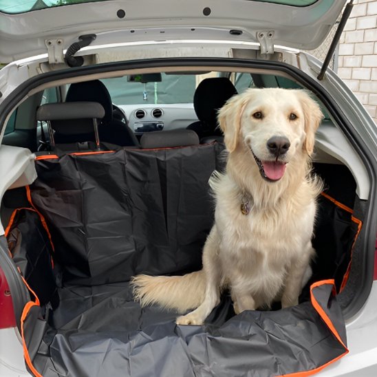 Housse de protection voiture